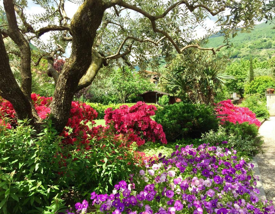 Iris 2 Lago Di Como دونغو المظهر الخارجي الصورة