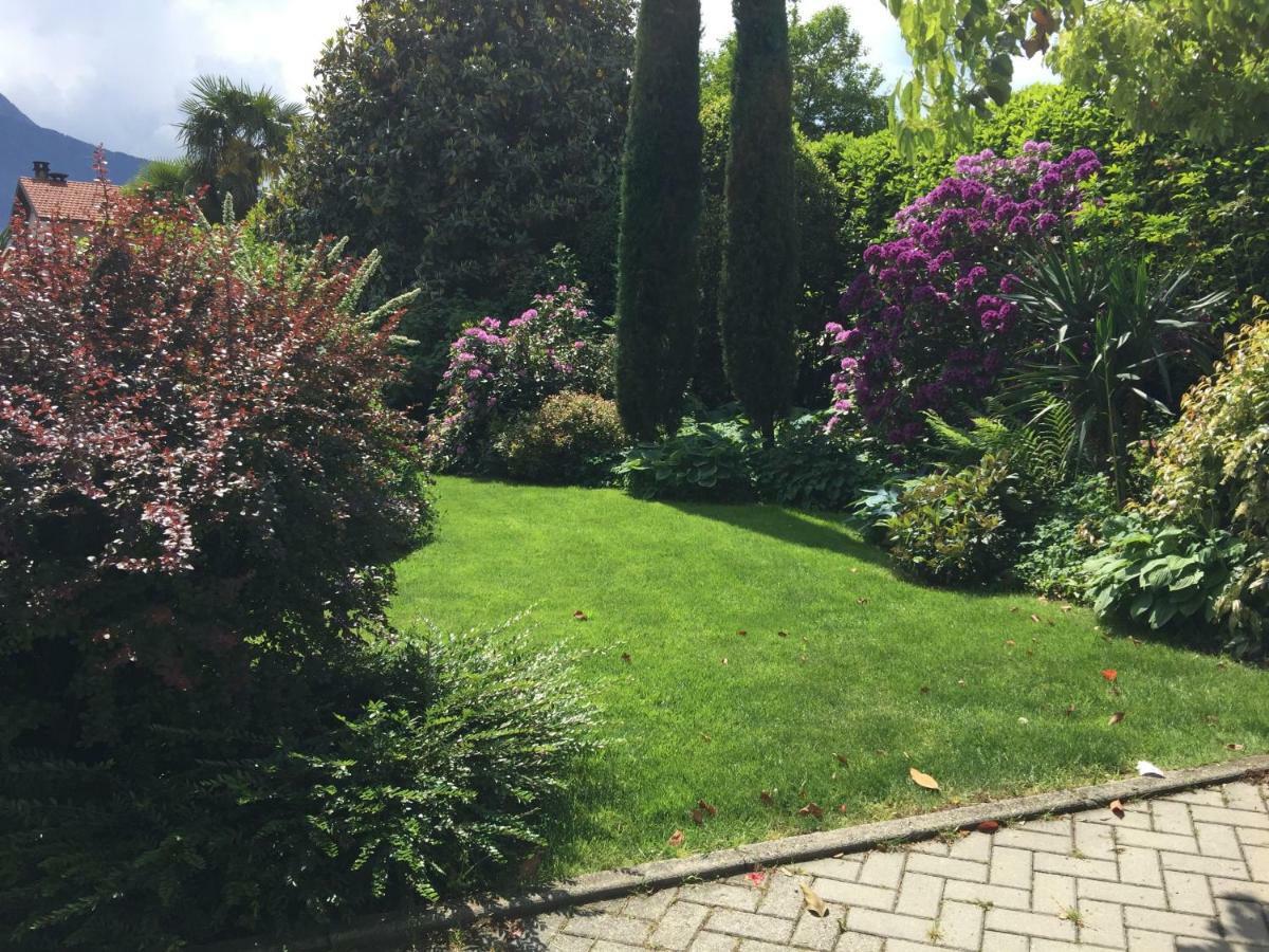 Iris 2 Lago Di Como دونغو المظهر الخارجي الصورة