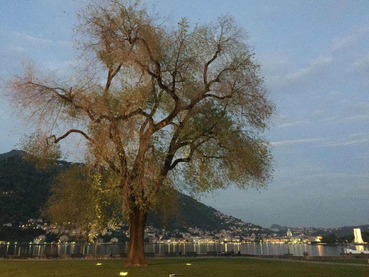 Iris 2 Lago Di Como دونغو المظهر الخارجي الصورة