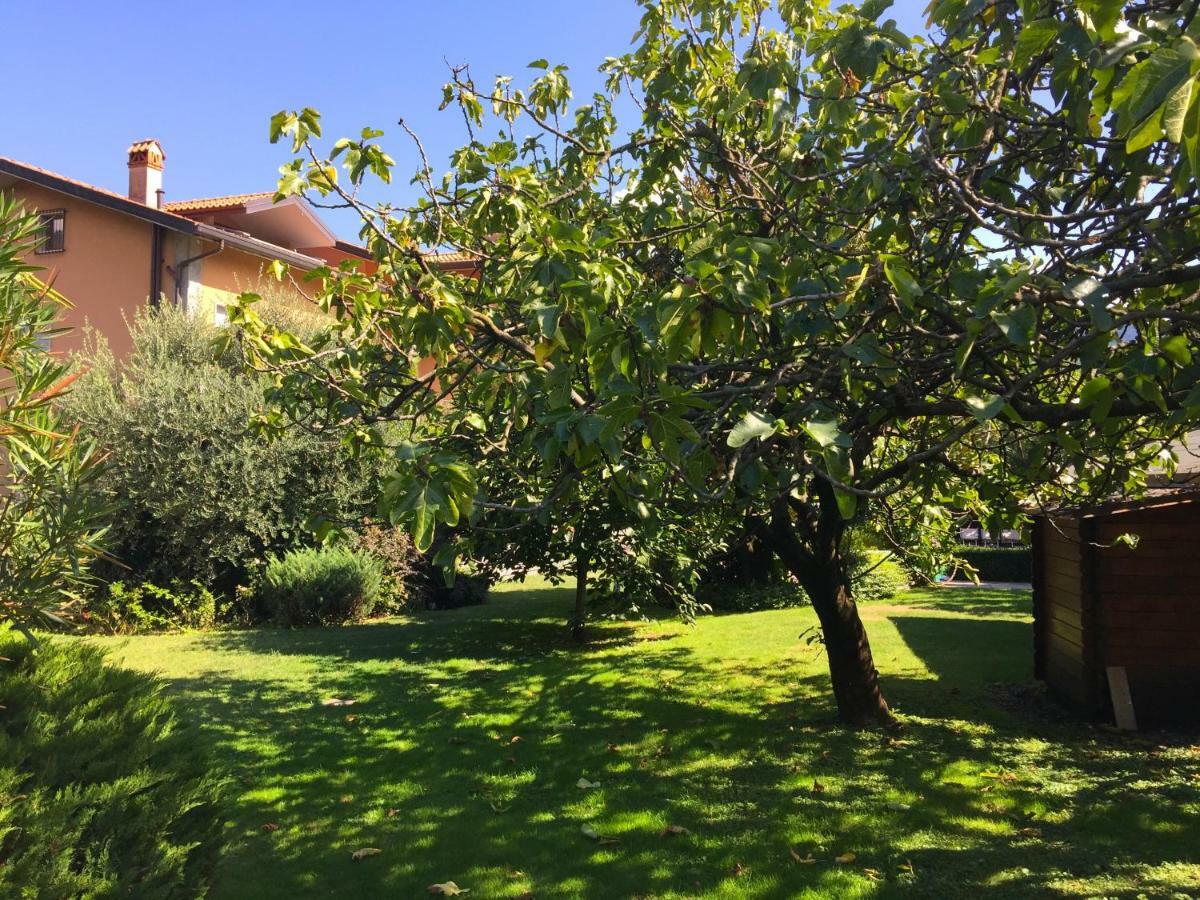 Iris 2 Lago Di Como دونغو المظهر الخارجي الصورة